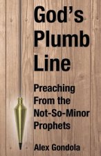 God's Plumb Line