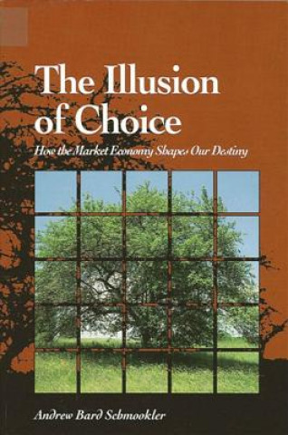 Illusion of Choice: How the Market Economy Shapes Our Destiny