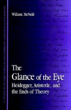 The Glance of the Eye: Heidegger, Aristotle, and the Ends of Theory