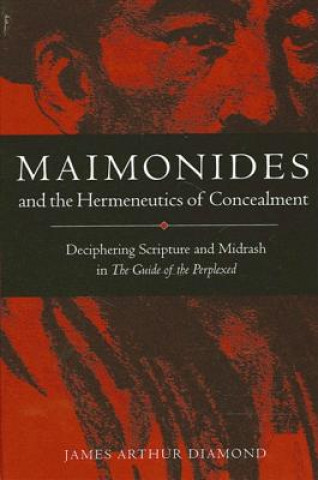 Maimonides and the Hermeneutics of: Deciphering Scripture and Midrash in the Guide of the Perplexed
