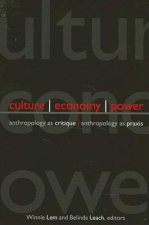 Culture Economy Power: Anthropology as Critique, Anthropology as Praxis