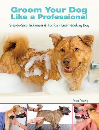 Groom Your Dog Like a Professional: Step-By-Step Techniques & Tips for a Great-Looking Dog