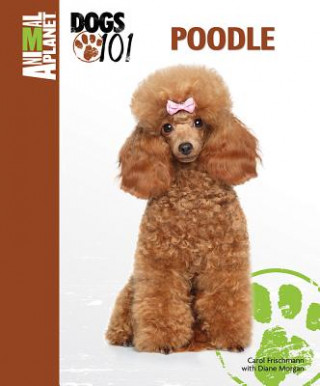 Poodle Animal Planet: Dogs 101