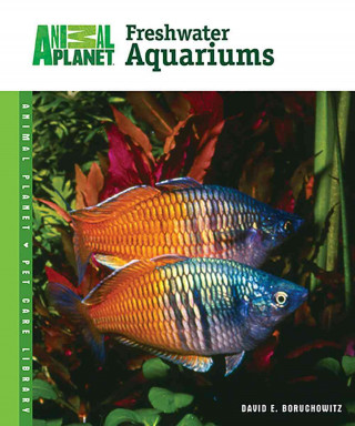 Freshwater Aquariums: