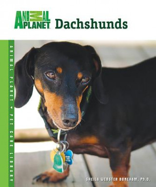 Dachshunds