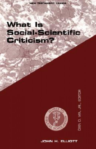 What Is Social Scientific Criticism?