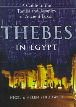 Thebes in Egypt: Power, Restraint, and Privileges of Immunity in Early Medieval Europe