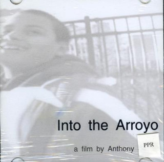 Into the Arroyo