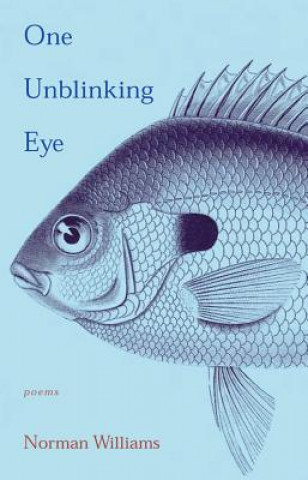 One Unblinking Eye: Poems