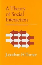 Theory of Social Interaction
