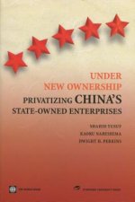 Under New Ownership: Privatizing China's State-Owned Enterprises