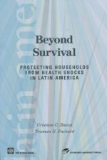 Beyond Survival: Protecting Households from Health Shocks in Latin America