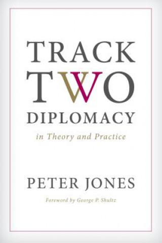 Track Two Diplomacy in Theory and Practice