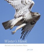 Winter's Hawk: Red-Tails on the Southern Plains