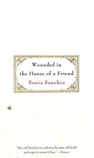 Wounded in the House of a Friend