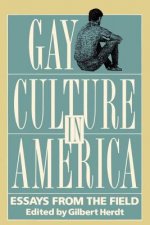 Gay Culture in America