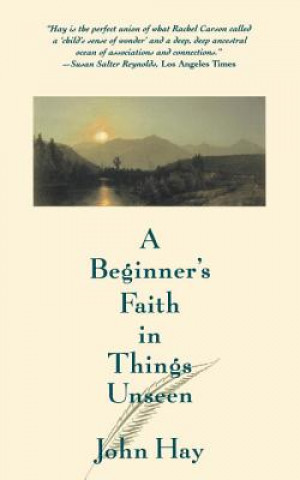 Beginner's Faith in Things Unseen