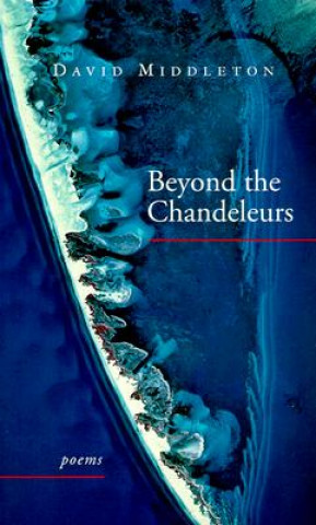 Beyond the Chandeleurs: Poems