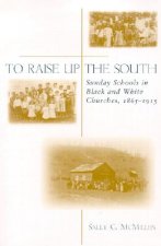 To Raise Up the South: Sunday Schools in Black and White Churches, 1865-1915