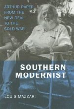 Southern Modernist: Arthur Raper from the New Deal to the Cold War