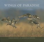 Wings of Paradise: Birds of the Louisiana Wetlands