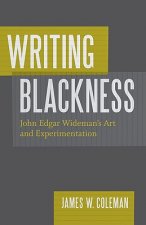Writing Blackness: John Edgar Wideman's Art and Experimentation