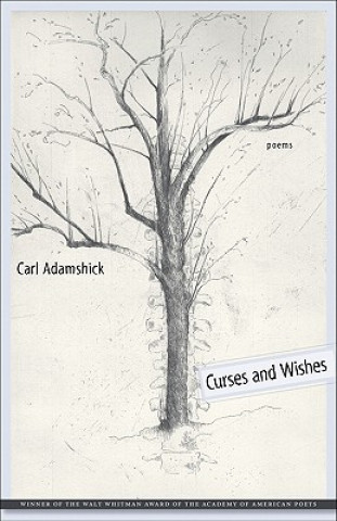 Curses and Wishes