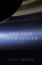 View from Saturn