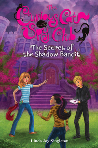 Secret of the Shadow Bandit