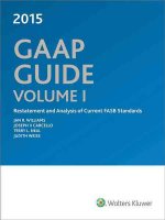 GAAP Guide (2015)