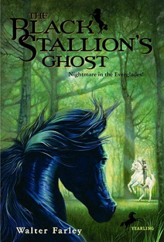 The Black Stallion's Ghost