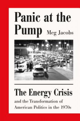 Panic at the Pump: The Energy Crisis and the Transformation of American Politics in the 1970s (Meg Jacobs)(Miękka)