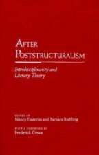 After Post-Structuralism