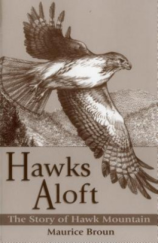 Hawks Aloft