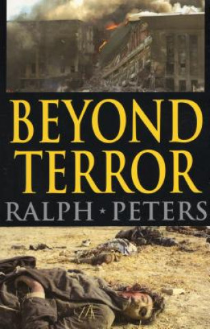 Beyond Terror: Strategy in a Changing World