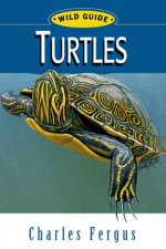 Turtles