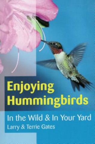Enjoying Hummingbirds: In the Wild & in Your Yard
