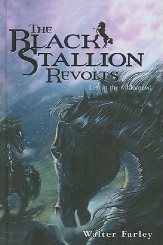 The Black Stallion Revolts