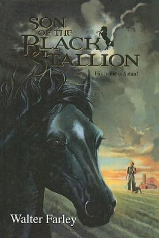 Son of the Black Stallion