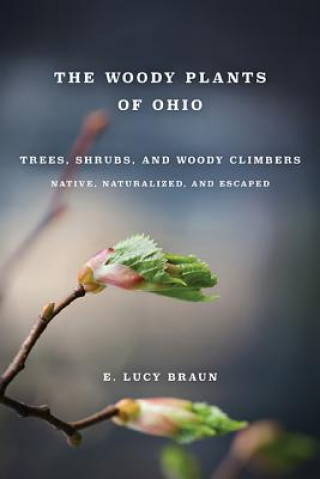 Woody Plants of Ohio: Trees, Shrubs and Woody Climbers Native,