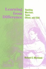 Learning from Difference: Teaching Morrison, Twain, Ellison, and E