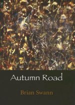 Autumn Road