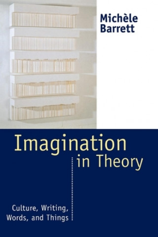 Imagination in Theory: Culture, Writing, Words and Things