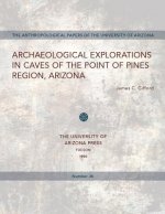 Archaeological Explorations in Caves of the Point of Pines Region, Arizona