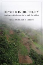 Beyond Indigeneity