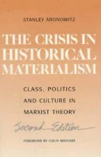 Crisis in Historical Materialism: Class, Politics, and Culture in Marxist Theory
