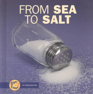 From Sea to Salt