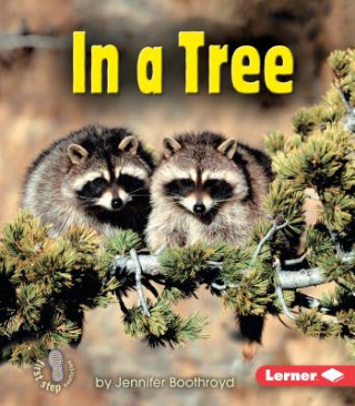 In a Tree