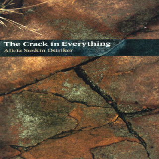 The Crack in Everything