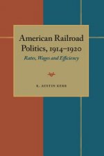 American Railroad Politics, 1914 1920